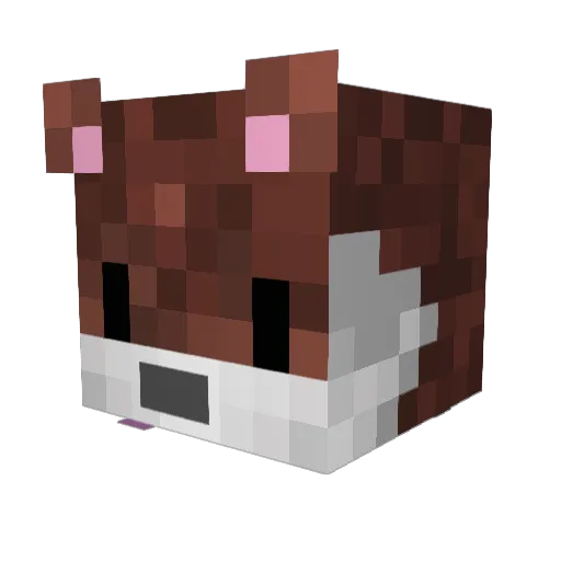 zaktt2 Minecraft avatar head, 3D render