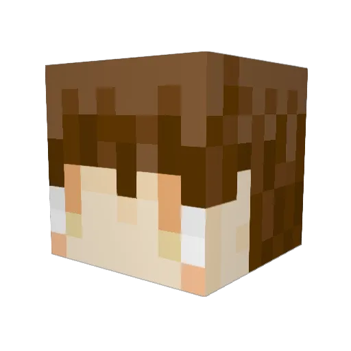 zakujin Minecraft avatar head, 3D render