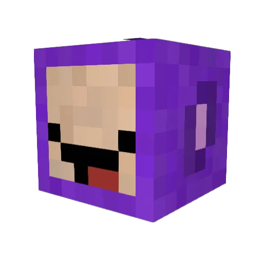 zaleluc Minecraft avatar head, 3D render
