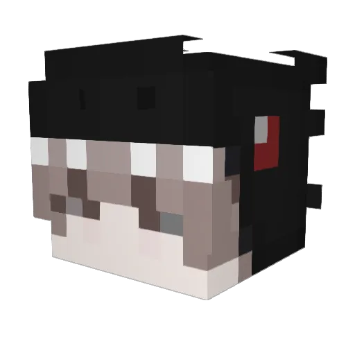 zalogujsie_ Minecraft avatar head, 3D render