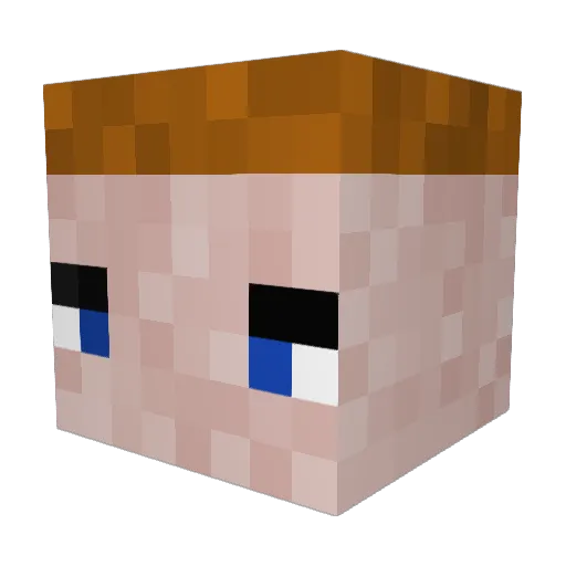 zaloop0 Minecraft avatar head, 3D render