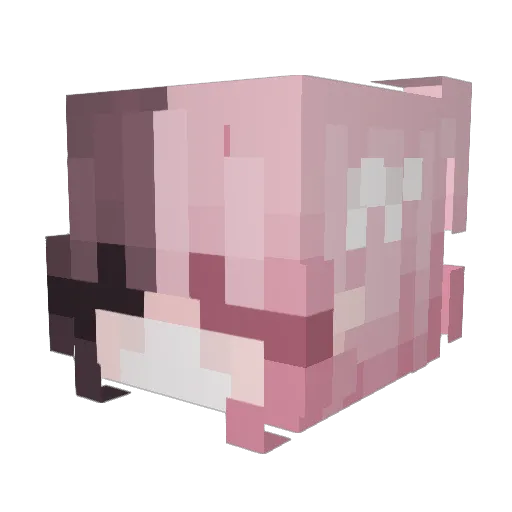 zam_ggae Minecraft avatar head, 3D render