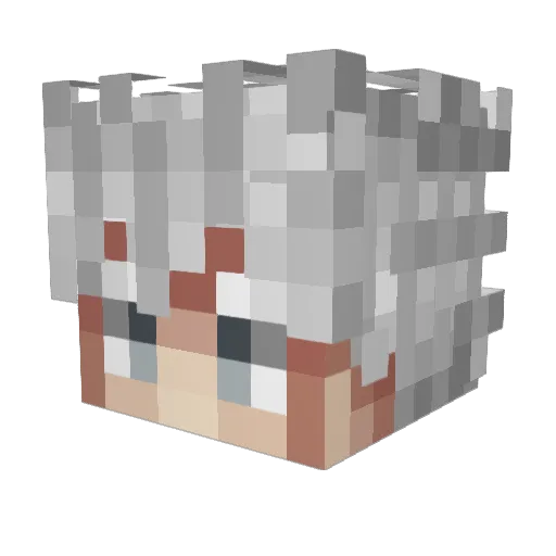 zamavok992 Minecraft avatar head, 3D render