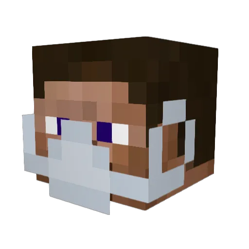 zammin2 Minecraft avatar head, 3D render