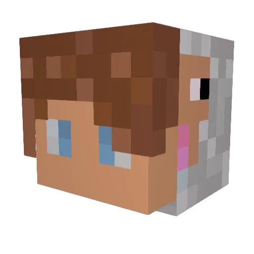 zandek_ Minecraft avatar head, 3D render