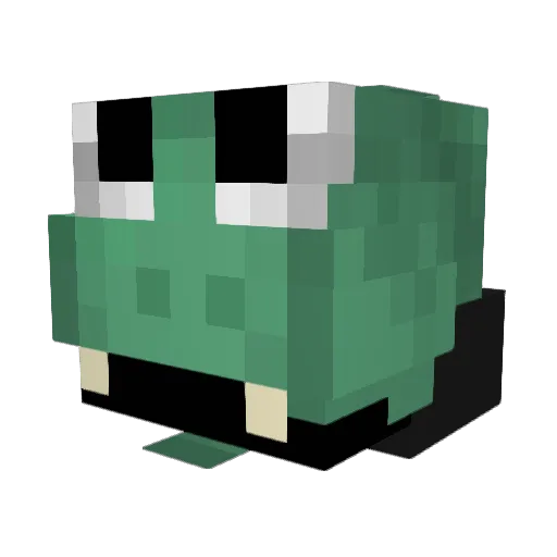 zanderNoob Minecraft avatar head, 3D render