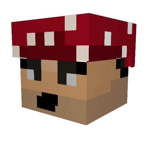 zanderlav Minecraft avatar head, 3D render