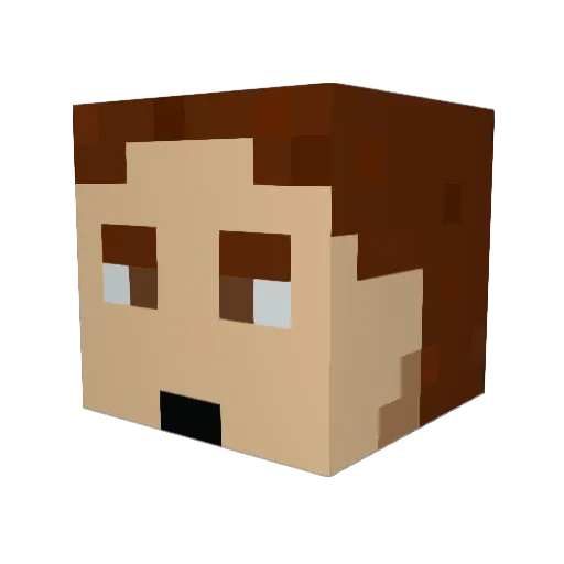 zanderman24 Minecraft avatar head, 3D render