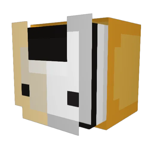 zandersnor Minecraft avatar head, 3D render