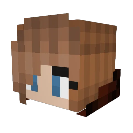 zandra00799 Minecraft avatar head, 3D render