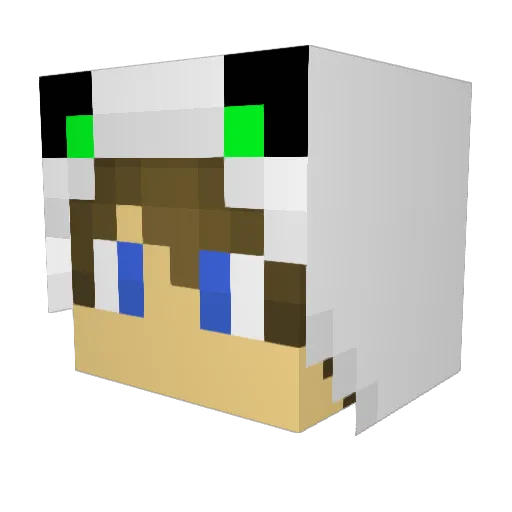 zandyman98 Minecraft avatar head, 3D render