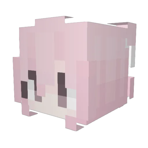 zane445 Minecraft avatar head, 3D render
