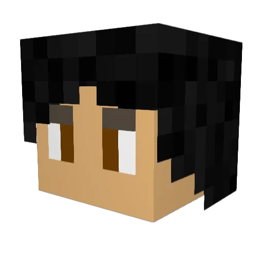 zane9907 Minecraft avatar head, 3D render