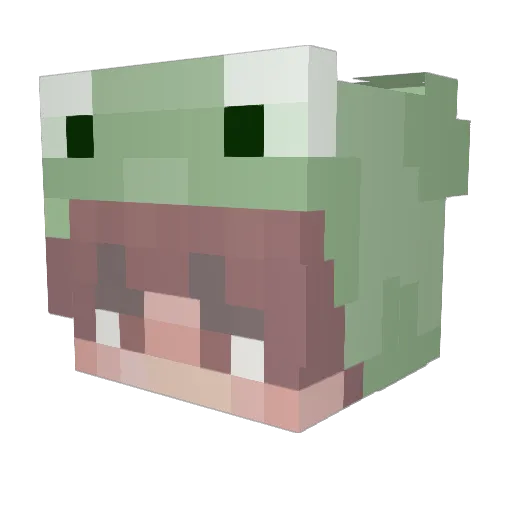 zanebrat Minecraft avatar head, 3D render