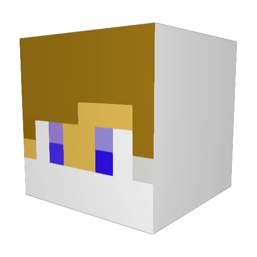 zanebs04 Minecraft avatar head, 3D render