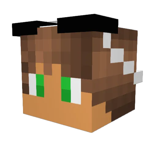 zanemooch Minecraft avatar head, 3D render