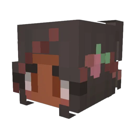 zaniichua Minecraft avatar head, 3D render