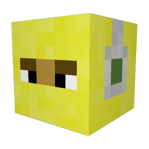 zank69420 Minecraft avatar head, 3D render