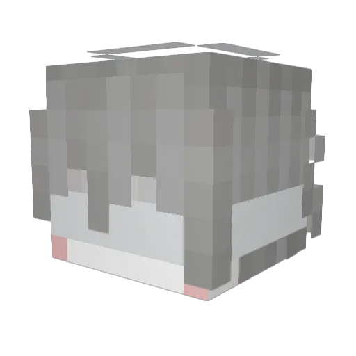 zannies Minecraft avatar head, 3D render