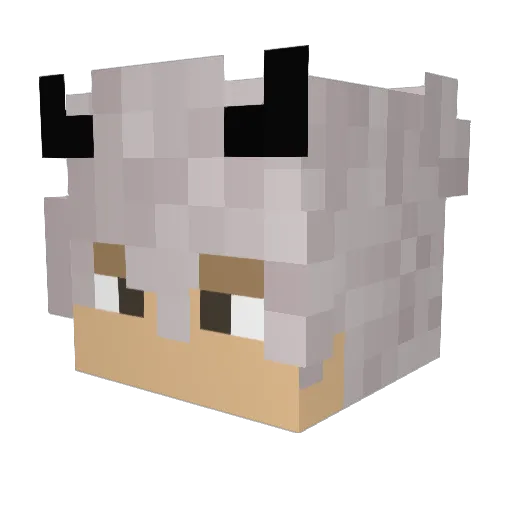 zanntt Minecraft avatar head, 3D render
