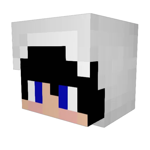 zans04 Minecraft avatar head, 3D render