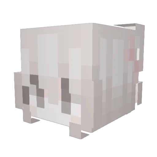 zaozao_ Minecraft avatar head, 3D render