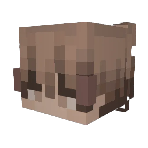 zapdzap Minecraft avatar head, 3D render