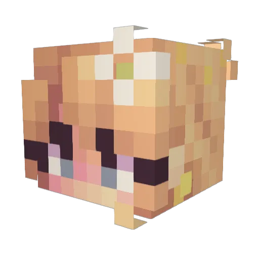 zappapow Minecraft avatar head, 3D render
