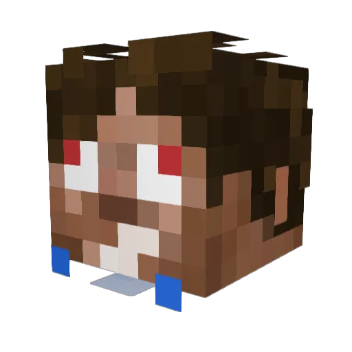 zapyouninja Minecraft avatar head, 3D render
