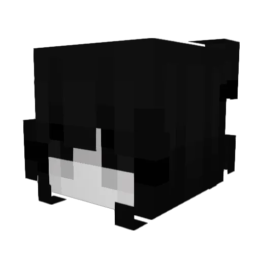 zapyr Minecraft avatar head, 3D render