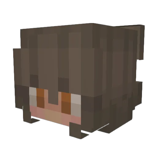 zaracoleslaw Minecraft avatar head, 3D render