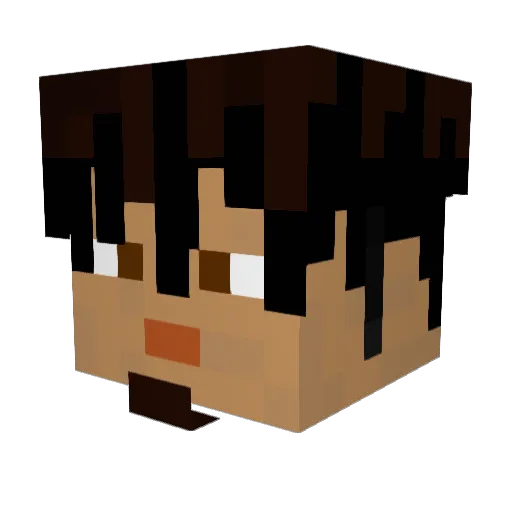 zaralol420 Minecraft avatar head, 3D render