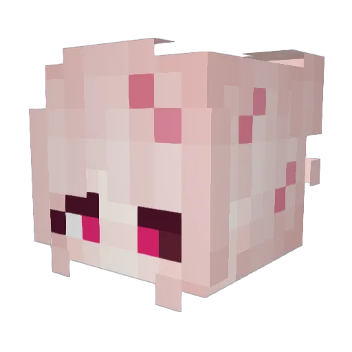zaranoir Minecraft avatar head, 3D render