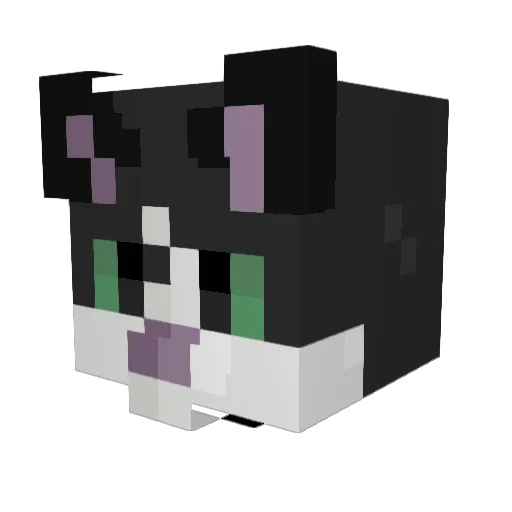 zaraphobic Minecraft avatar head, 3D render