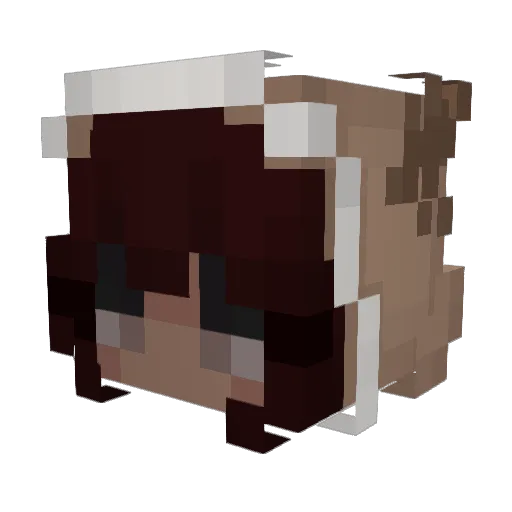 zareeeshell Minecraft avatar head, 3D render