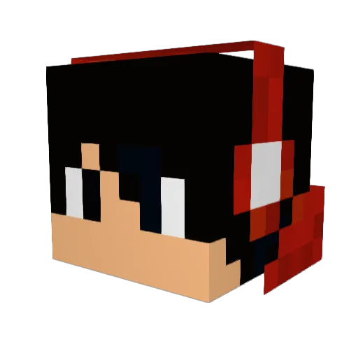 zarek1956 Minecraft avatar head, 3D render