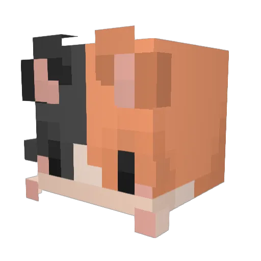 zaserya Minecraft avatar head, 3D render