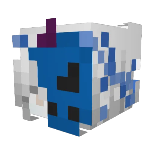 zatoonx Minecraft avatar head, 3D render