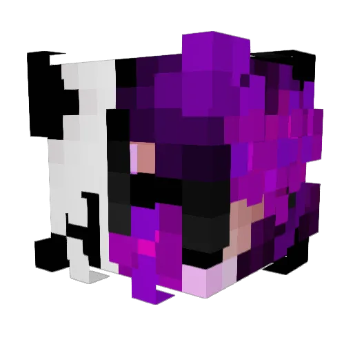 zawardo35 Minecraft avatar head, 3D render