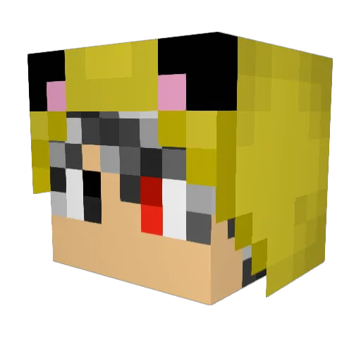 zawaryo Minecraft avatar head, 3D render