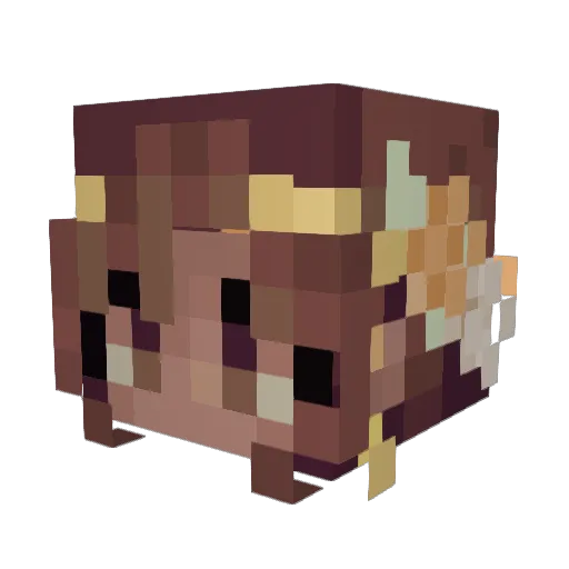 zawierucha Minecraft avatar head, 3D render