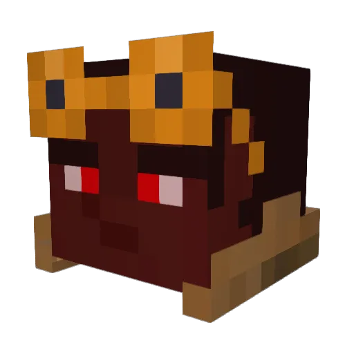 zay011111 Minecraft avatar head, 3D render