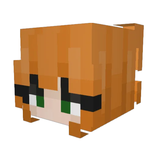 zay_17 Minecraft avatar head, 3D render