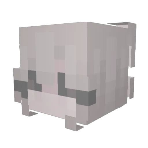 zayascoming Minecraft avatar head, 3D render