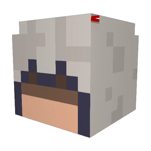 zayd313 Minecraft avatar head, 3D render