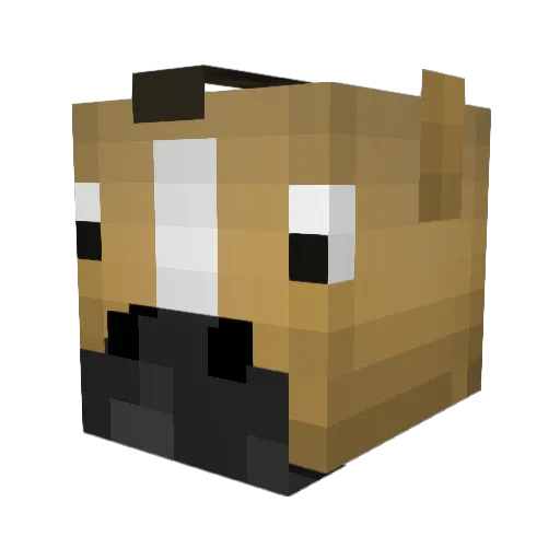 zaydiddy69 Minecraft avatar head, 3D render