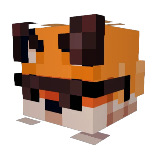 zayl1 Minecraft avatar head, 3D render