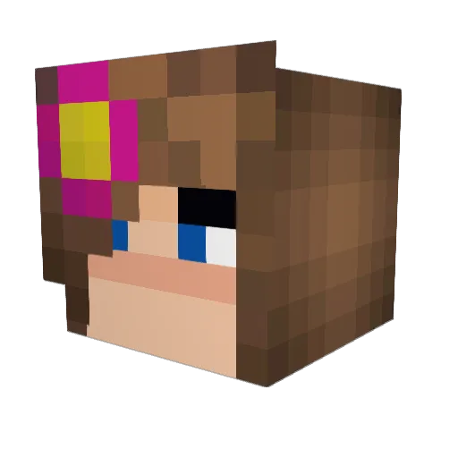 zaylom Minecraft avatar head, 3D render