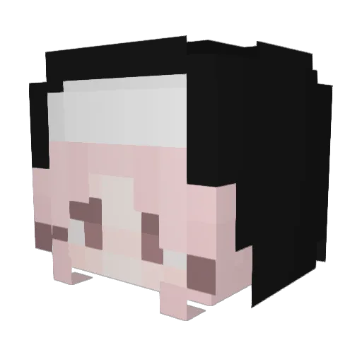 zaym Minecraft avatar head, 3D render