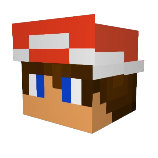 zayn24 Minecraft avatar head, 3D render
